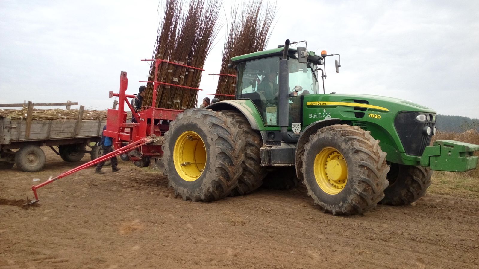 Замість дорогого газу. Як верба може врятувати громади від холоду взимку